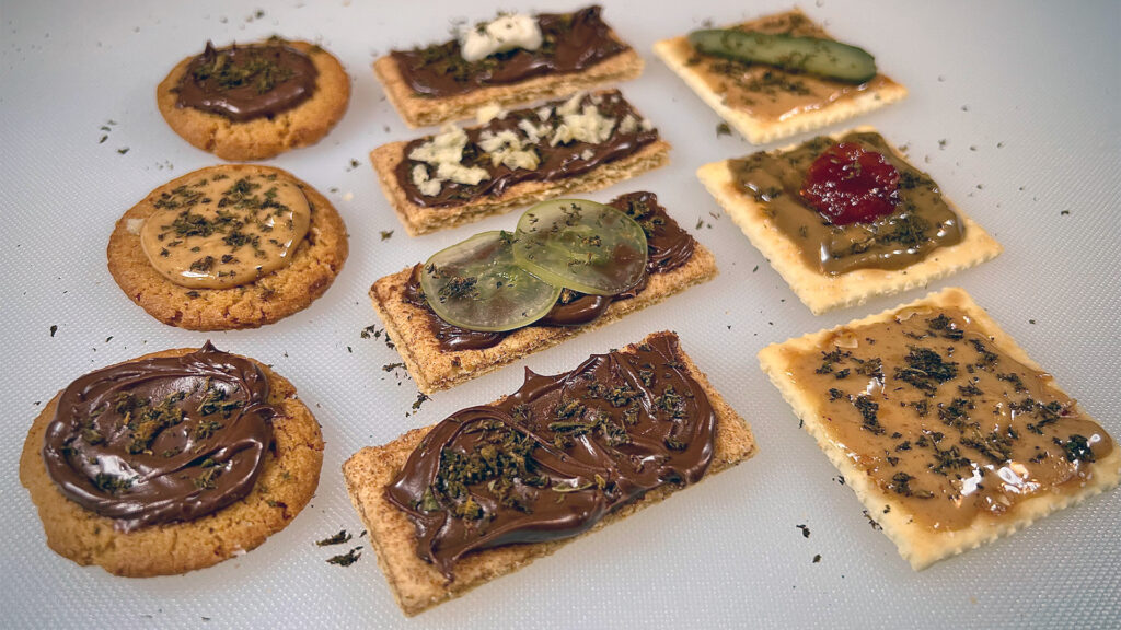 A spread of different kinds of firecrackers on a neutral background