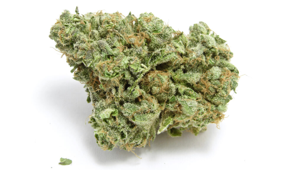 A close up of a light green and yellow-haired nug covered in trichomes. (David Downs/Leafly)