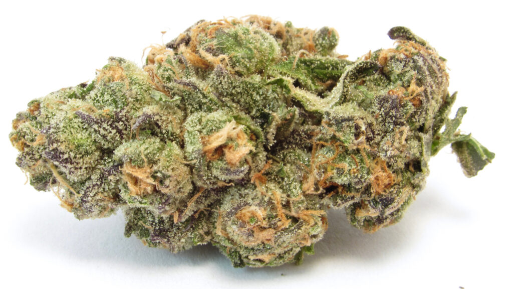 A close up of a purple, orange and green nug covered in trichomes.(David Downs/Leafly)