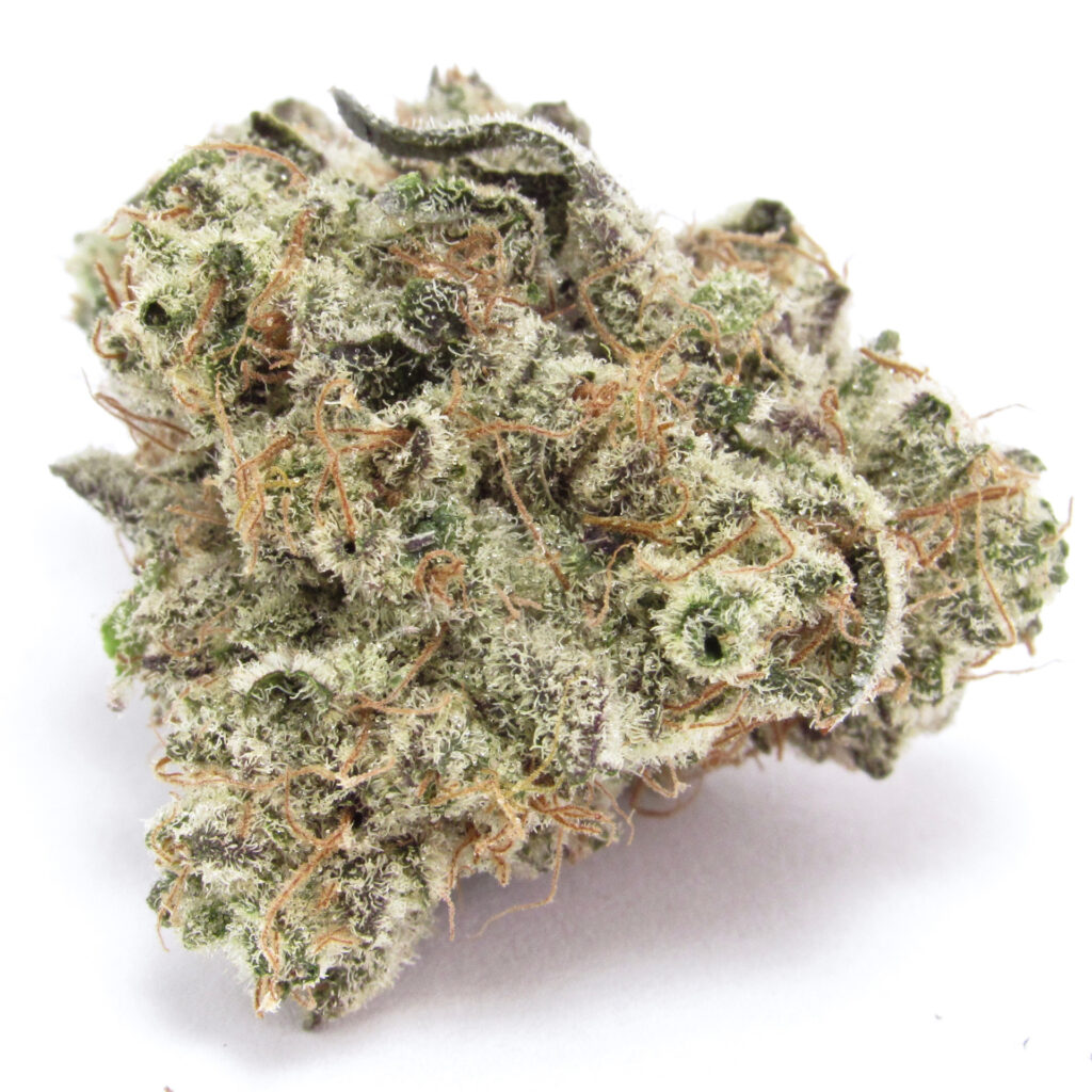 A macro of MAC V2 from L.A. Made just sleeted with trichomes over a greenish purple, orange-haired nug. — MAC V2 from L.A. Made (David Downs/Leafly)