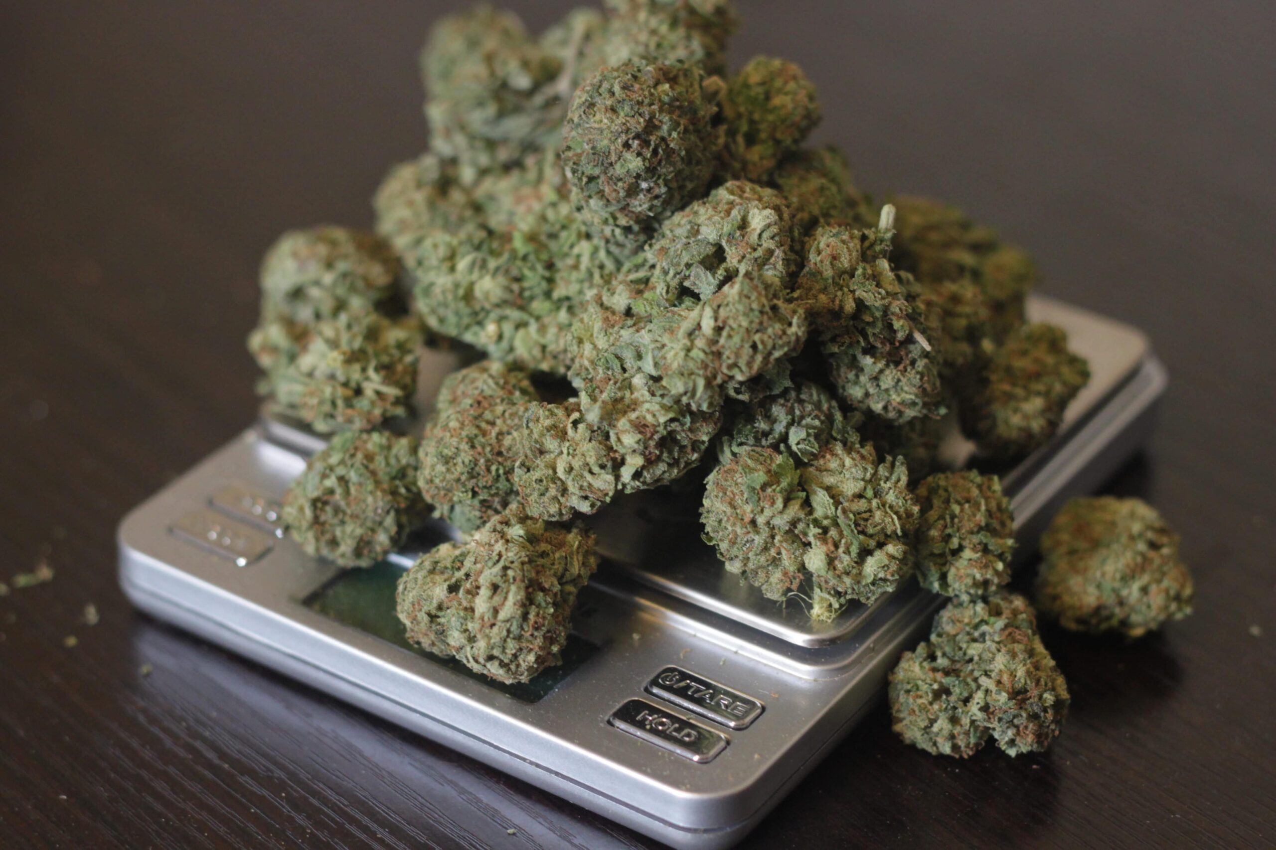 Mississippi Legislator Brings Hemp to Governor’s Office – High Times