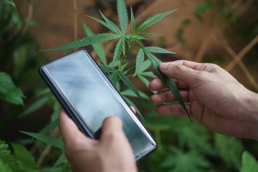 Oklahoma Pot Farm Slapped with RICO From Next Door Neighbor – High Times