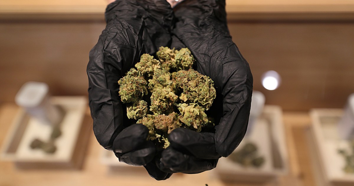 Recreational marijuana sales showered states with cash in 2021 – NBC News