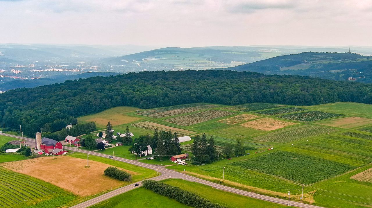 aerial view of a farm
