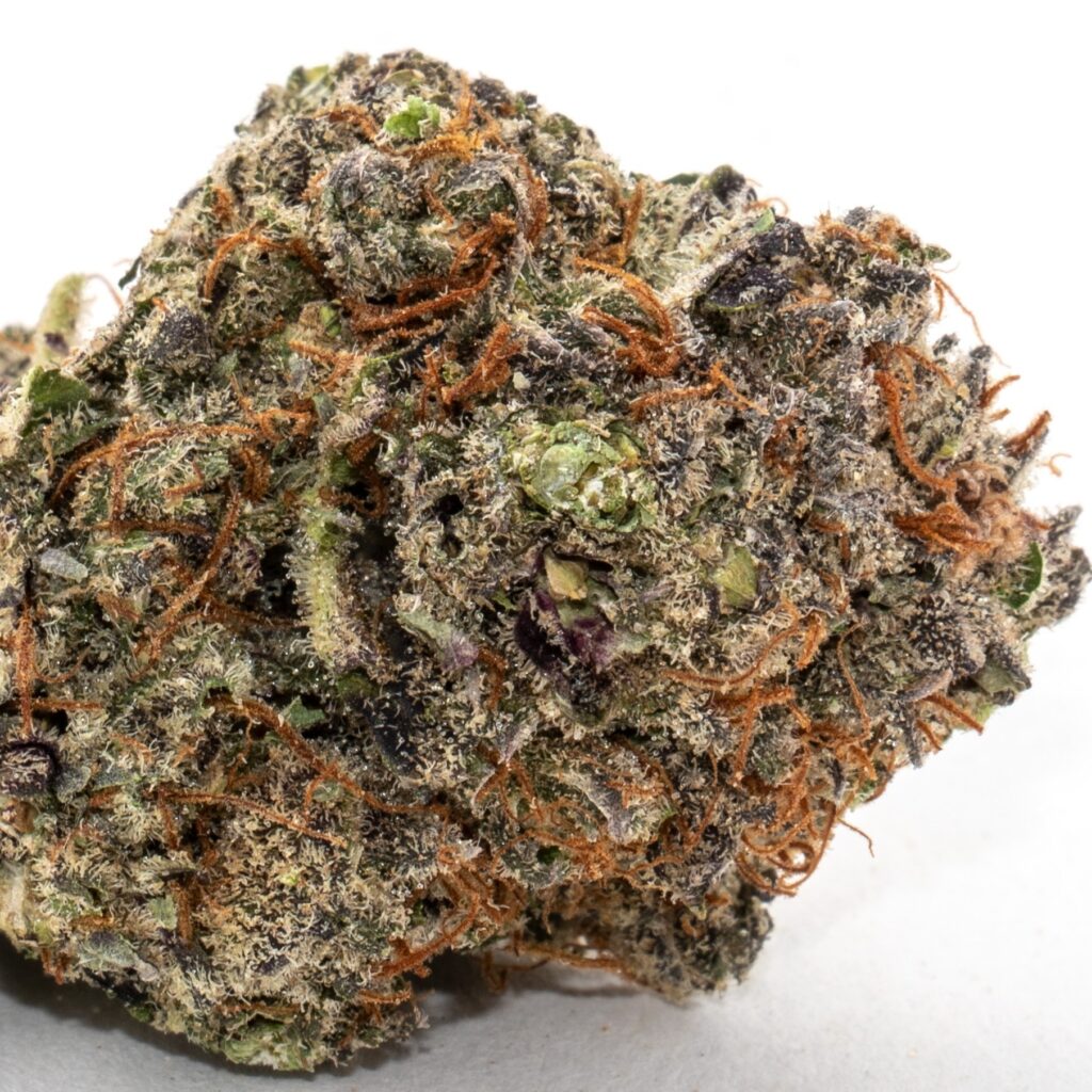 Blue Cookies from Insa brand cannabis. (Courtesy Insa)