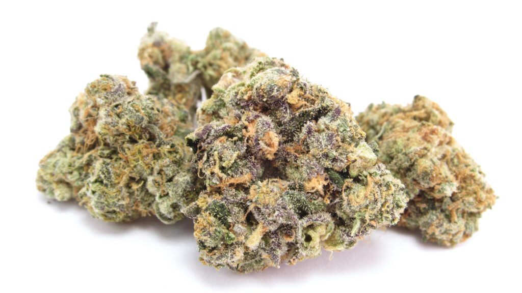 Cookies Gary Payton. (David Downs/Leafly)