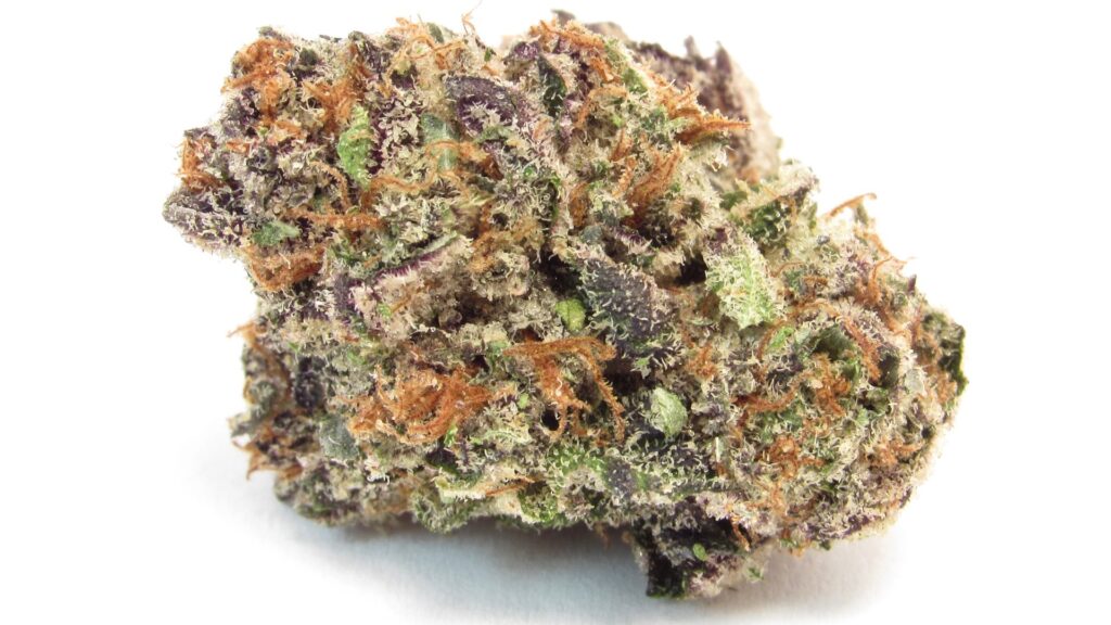 gelonade marijuana strain