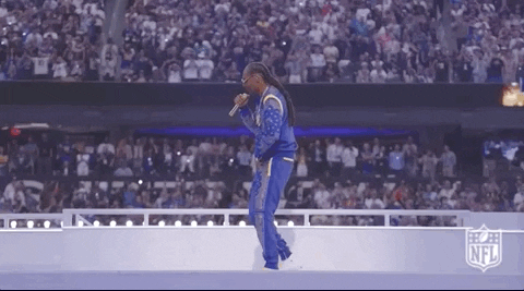 Snoop Super Bowl GIF by NFL - Find & Share on GIPHY