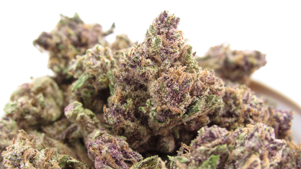 Sonoma Hills Farm daytime sativa Pink Jesus (David Downs/Leafly)