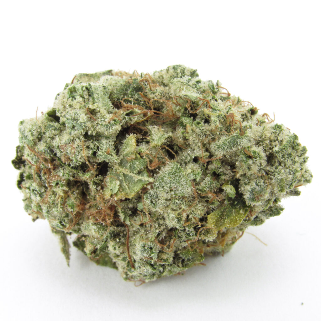 Jungle Boys Gator Breath 3 (David Downs/Leafly)