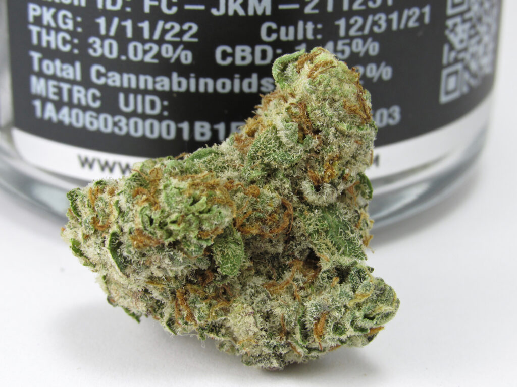 FloraCal Farms Jealousy x Kush Mints (David Downs/Leafly)