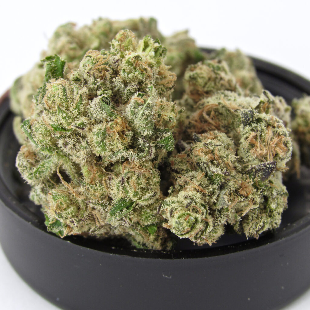 Pink Certz (David Downs/Leafly)