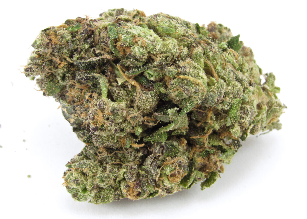 LA Family Farms Jealousy (David Downs/Leafly)2