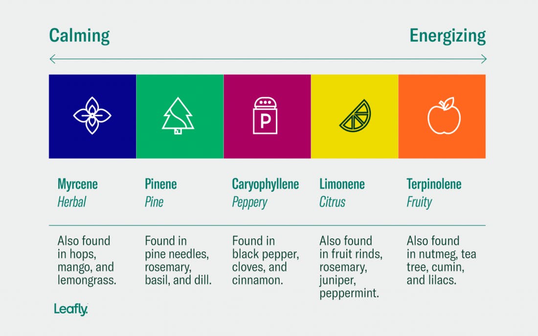 Leafly terpene color chart for Pantone