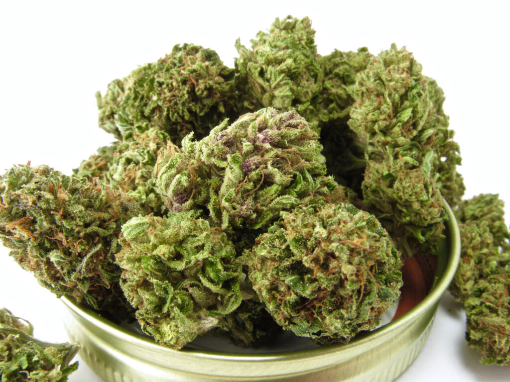 Mass Medical Seeds' Prayer Pupil—grown biodynamically here by Glentucky Family Farm, CA. (David Downs/Leafly)