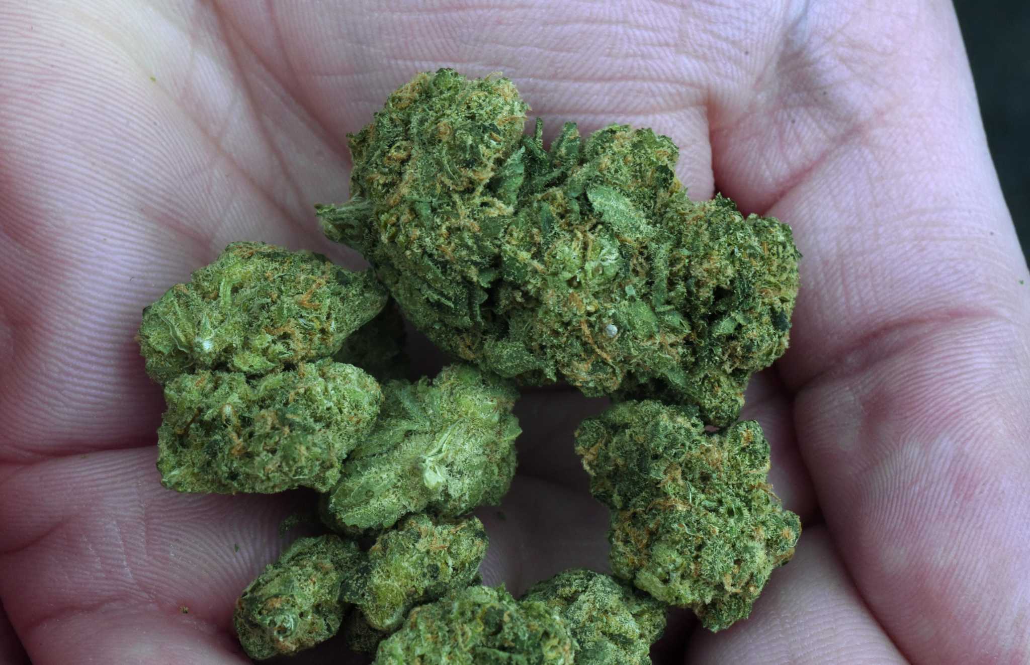 Bill banning cannabis ‘gifting’ parties approved by key CT committee – New Haven Register