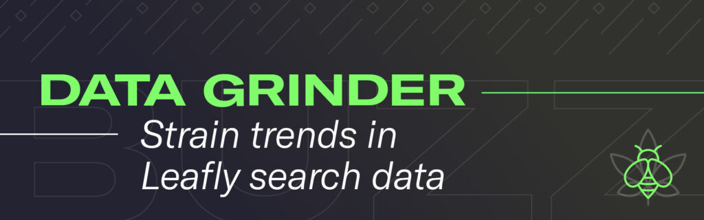 leafly buzz data grinder