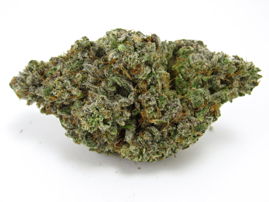 Insane brand Hindu Phunk. A Hindu Kush type. Pure indica. (David Downs/Leafly)