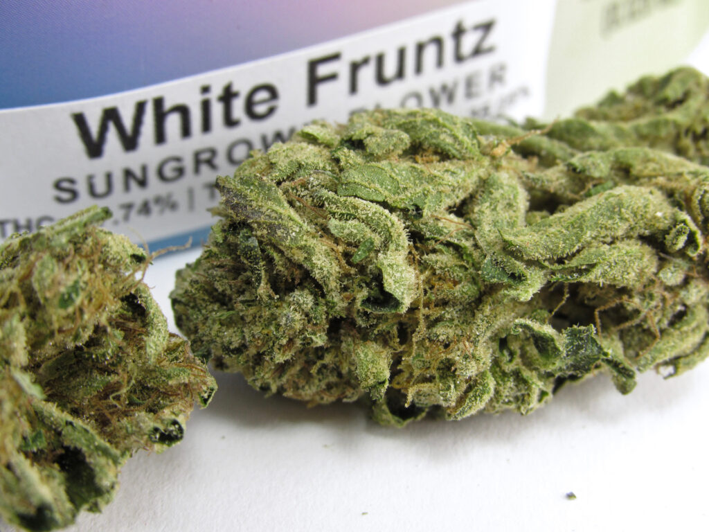 Midzotics White Fruntz is cheekily rebranded White Runtz. Hybrid. (David Downs/Leafly)