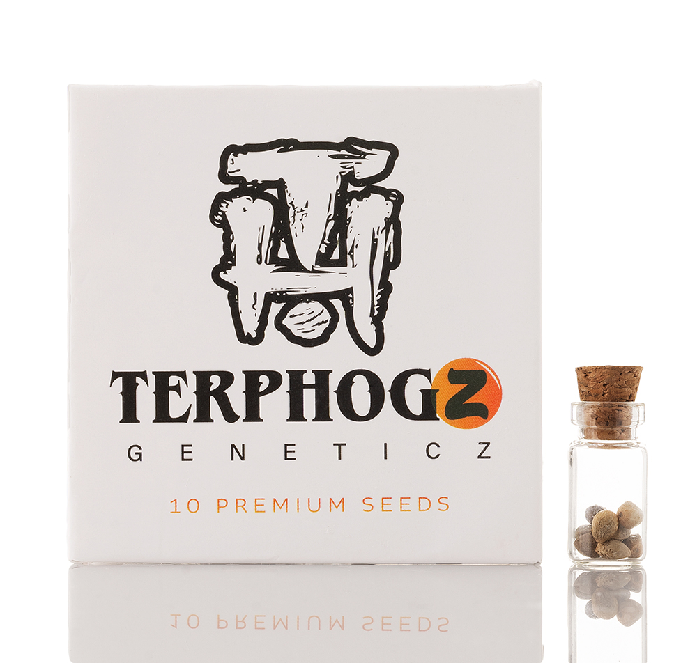 TerphogZ Geneticz seeds come in various elite flavors, for deliver in California. (Courtesy TerpHogz)