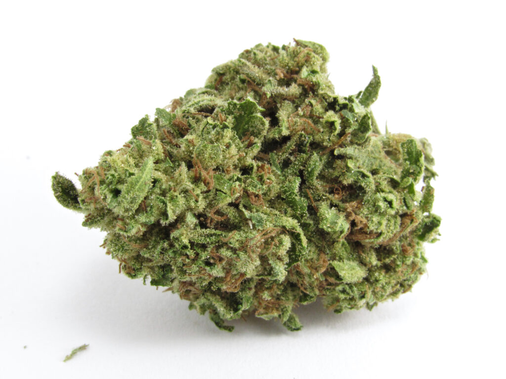 Down Om Farms outdoor Chemdawg via Farm Cut. Sativa hybrid. (David Downs/Leafly)