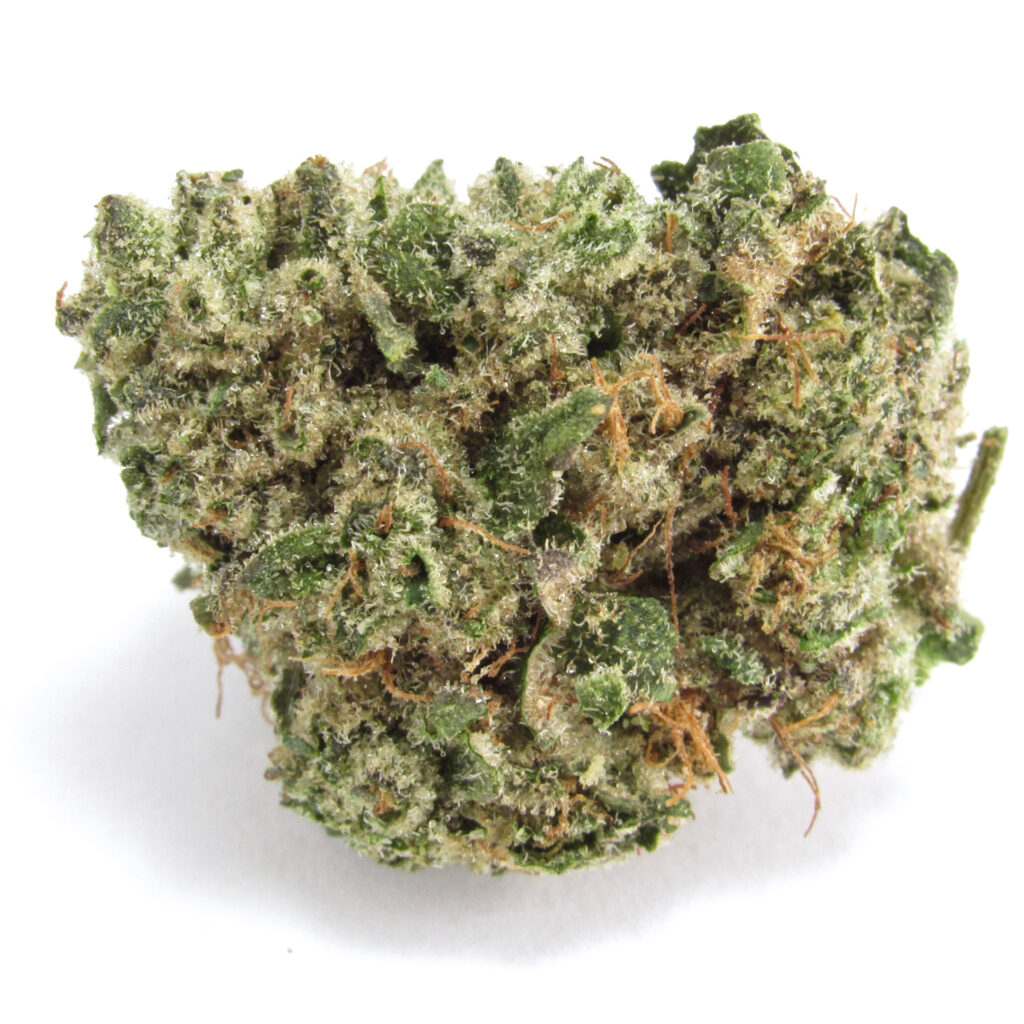 Khalifa Kush and Cookies' new Babby Powder. Khalifa Kush x Georgia Pie. Hybrid. (David Downs/Leafly)