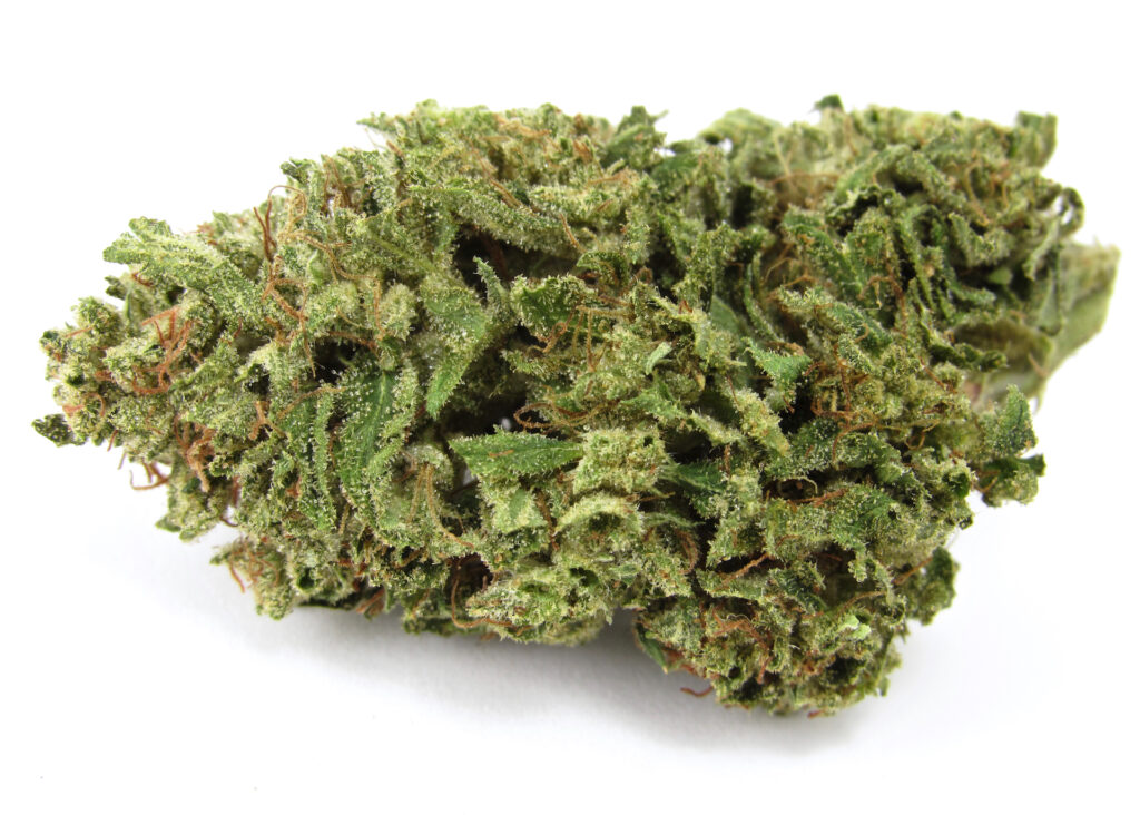 Compound Genetics La Bomba grown outdoors by Glentucky Family Farm. Hybrid. (David Downs/Leafly)