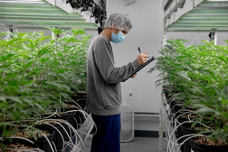 M&A activity heats up in CT’s marijuana industry, ahead of recreational market launch – Hartford Business Journal