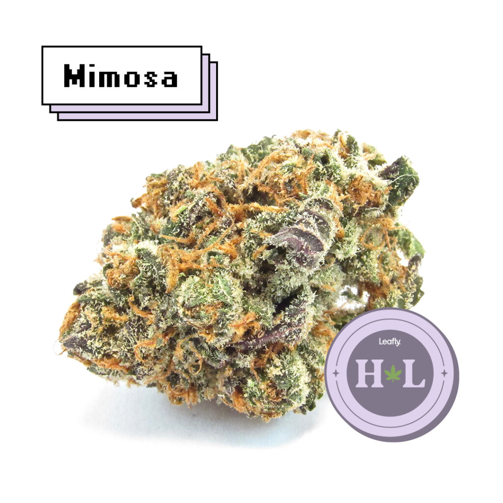 Leafly Highlight March 2022 Mimosa