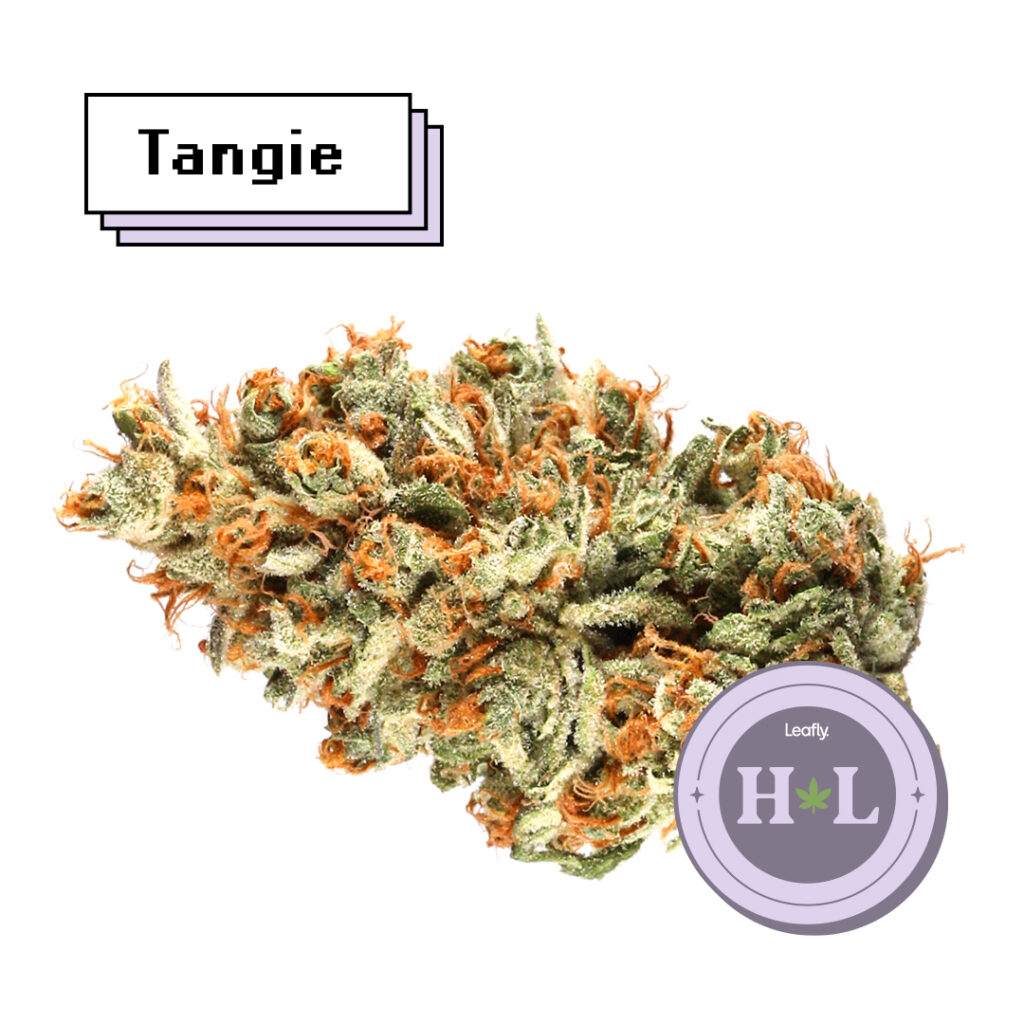 Leafly Highlight March 2022 Tangie