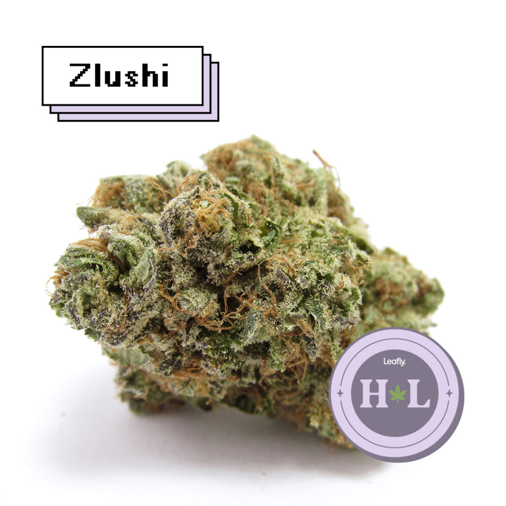 Leafly Highlight March 2022 Zlushi
