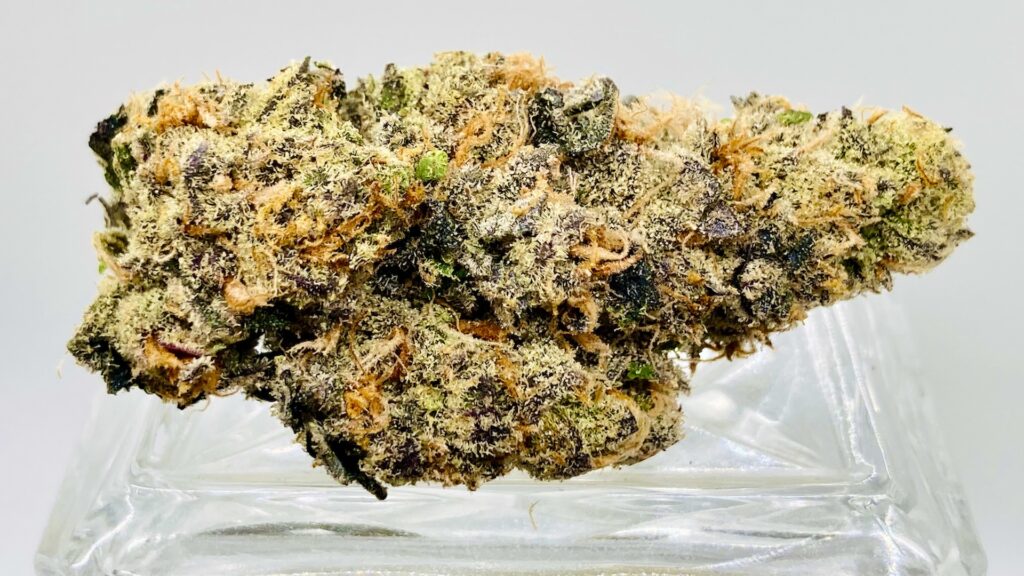 A closeup of a long and horizontal green, purple and orange weed nug on a classy crystal stand