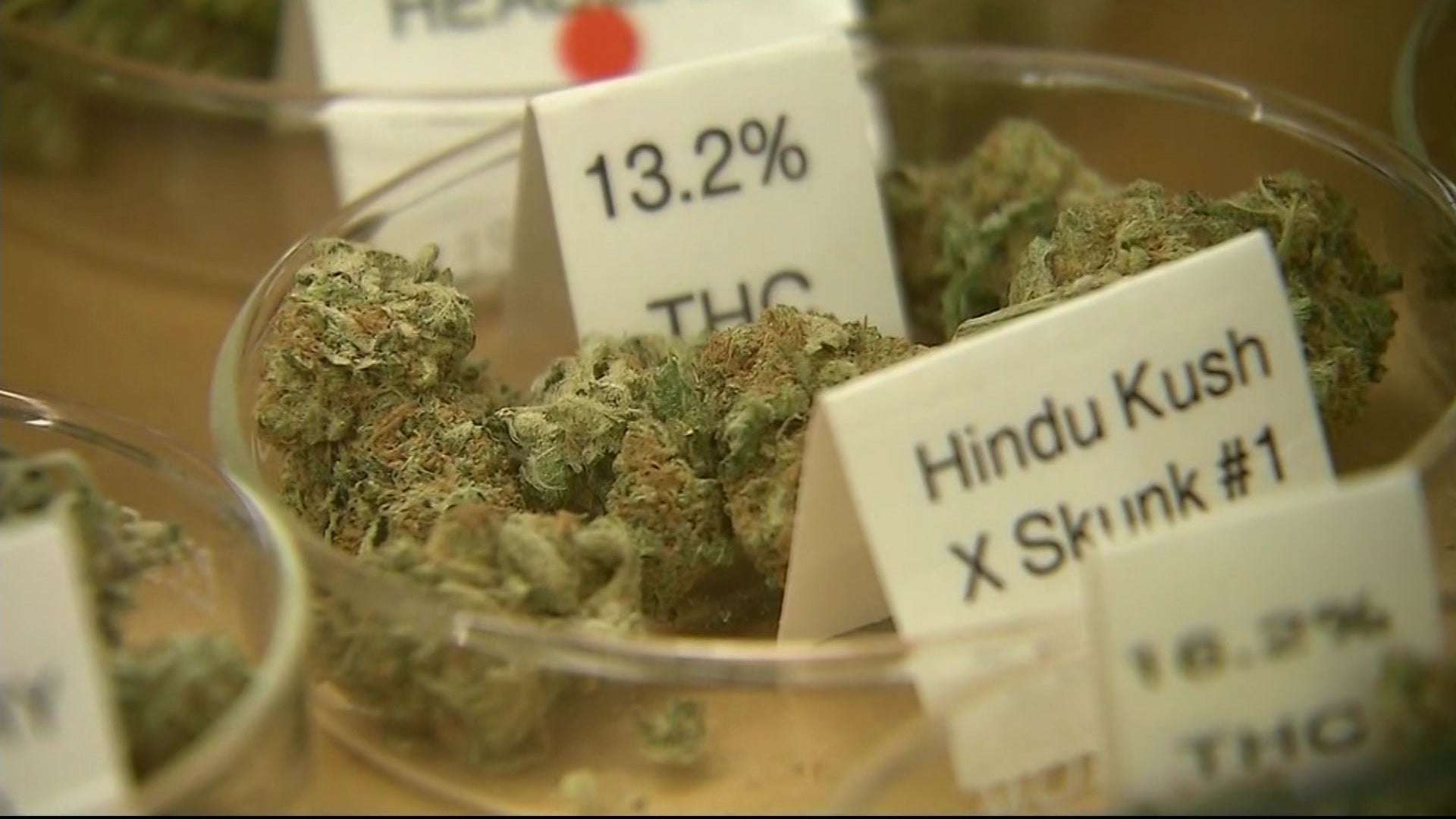 NY announces proposal to give cannabis retail license priority to those with marijuana convictions – News 12 Connecticut