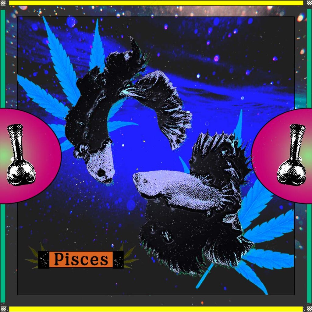 two fish swimming in stars and cannabis leaves on a blue background with bongs and the word "Pisces"