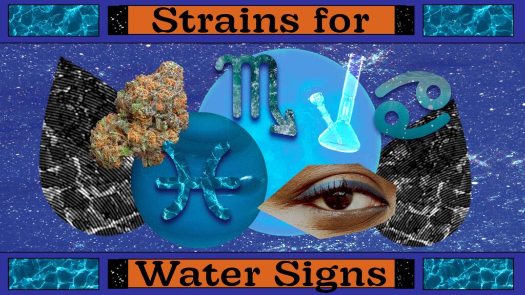Text reading "strains for water signs"