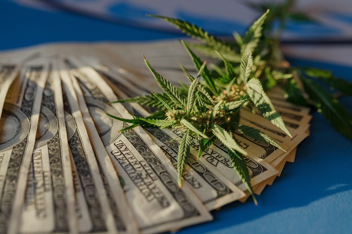 There’s a New Cannabis REIT On The Block: Is IIPR In Trouble? – The Motley Fool