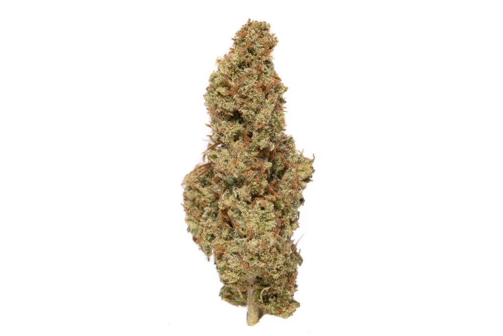 supa durban marijuana strain