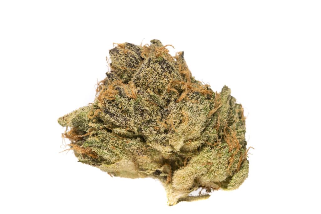 zoinks marijuana strain