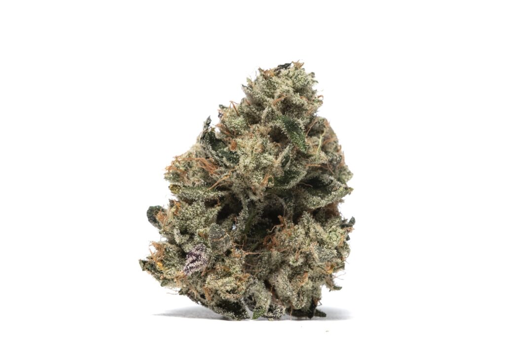 Dogwalker OG x Horchata marijuana strain