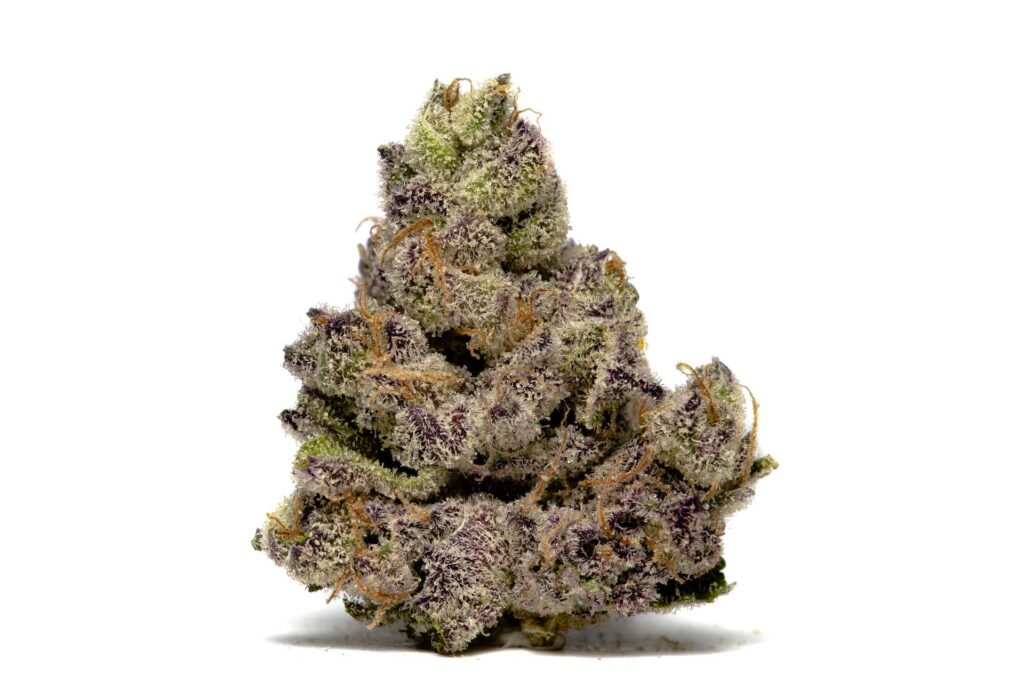 hash burger marijuana strain