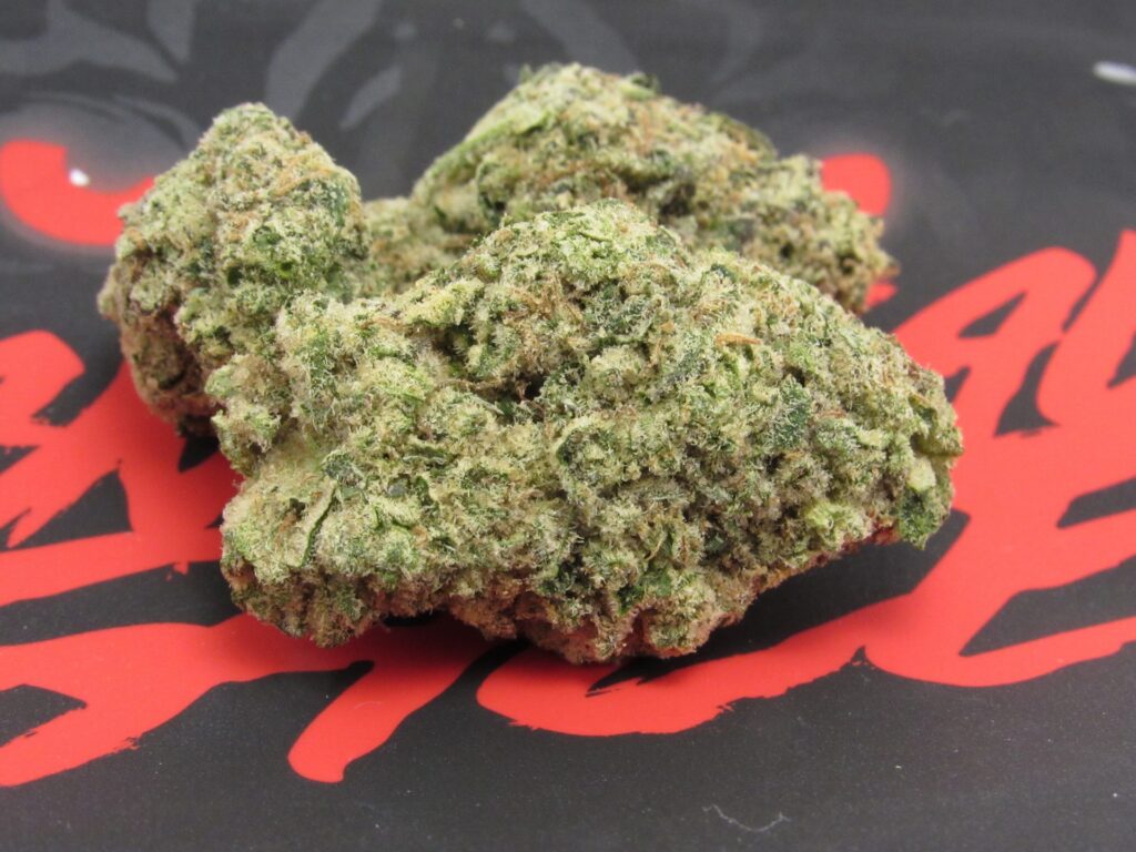 Seed Junky Genetics Animal Face grown and sold by Seed Junky (David Downs/Leafly)