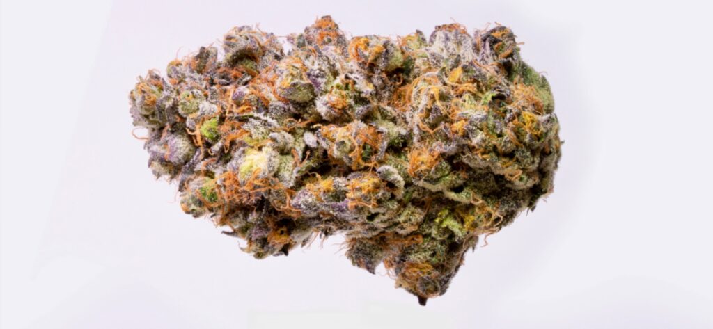 Biscotti from Tradecraft Farms (Courtesy Biscotti)