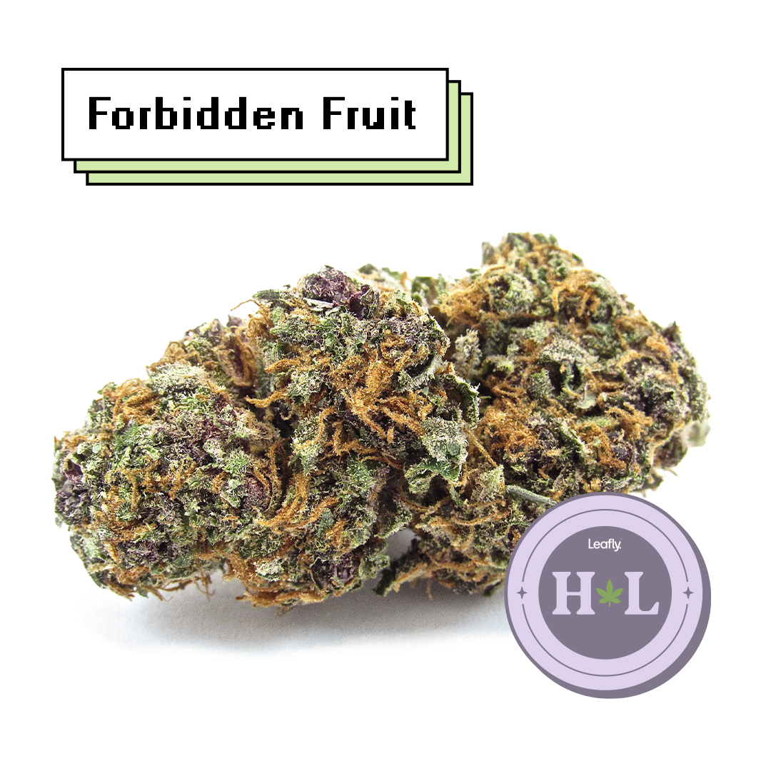 Still a champion—Forbidden Fruit. Hybrid indica. (David Downs/Leafly)