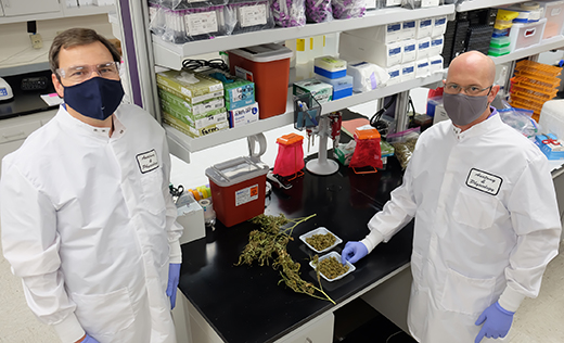 photo-of-kansas-state-university-researchers-in-lab