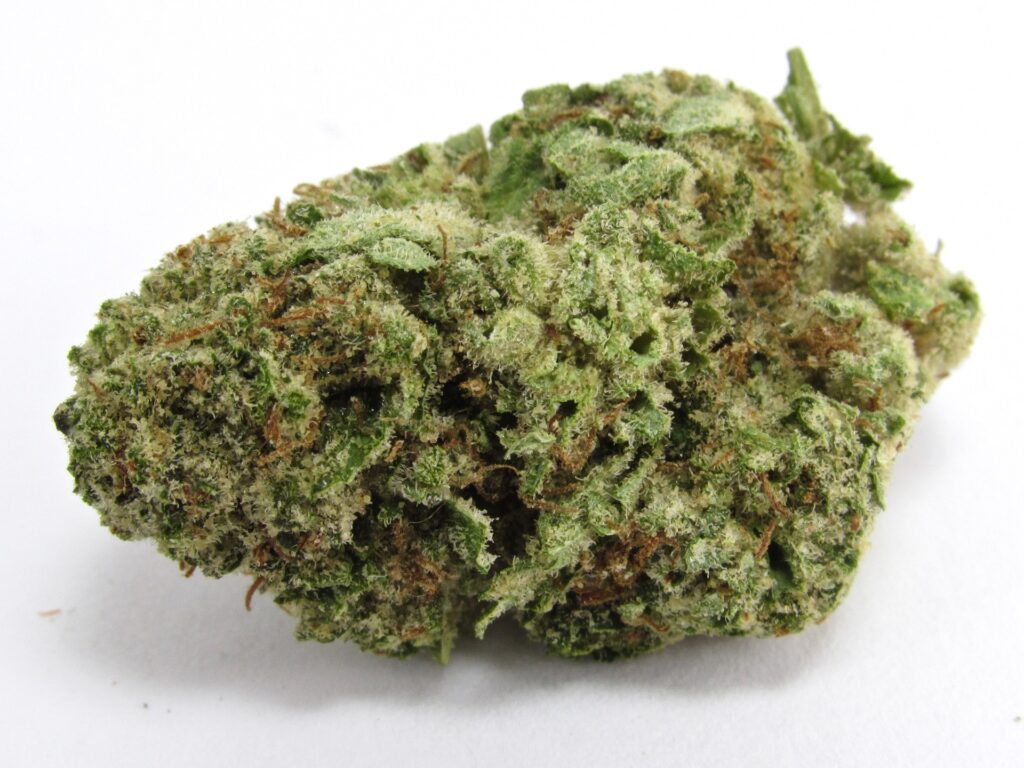 Almora mixed-light Cherry Punch. (David Downs/Leafly)