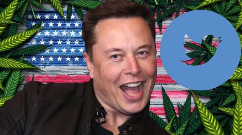 Is Elon Musk BUYING Twitter a Good Thing for Cannabis Content?