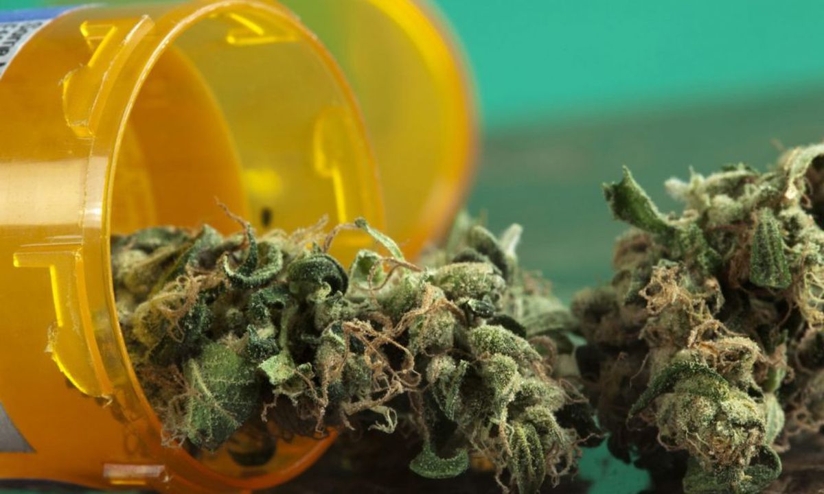 Mold in marijuana? Here’s why it’s an issue Connecticut is taking seriously. – Hartford Courant