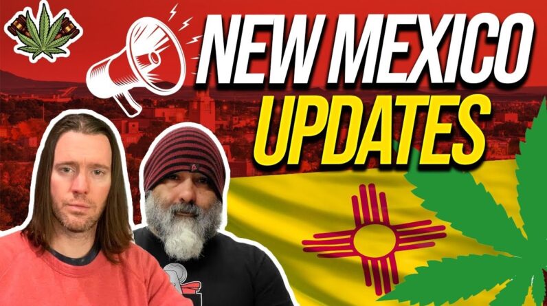 New Mexico Cannabis Business License Updates