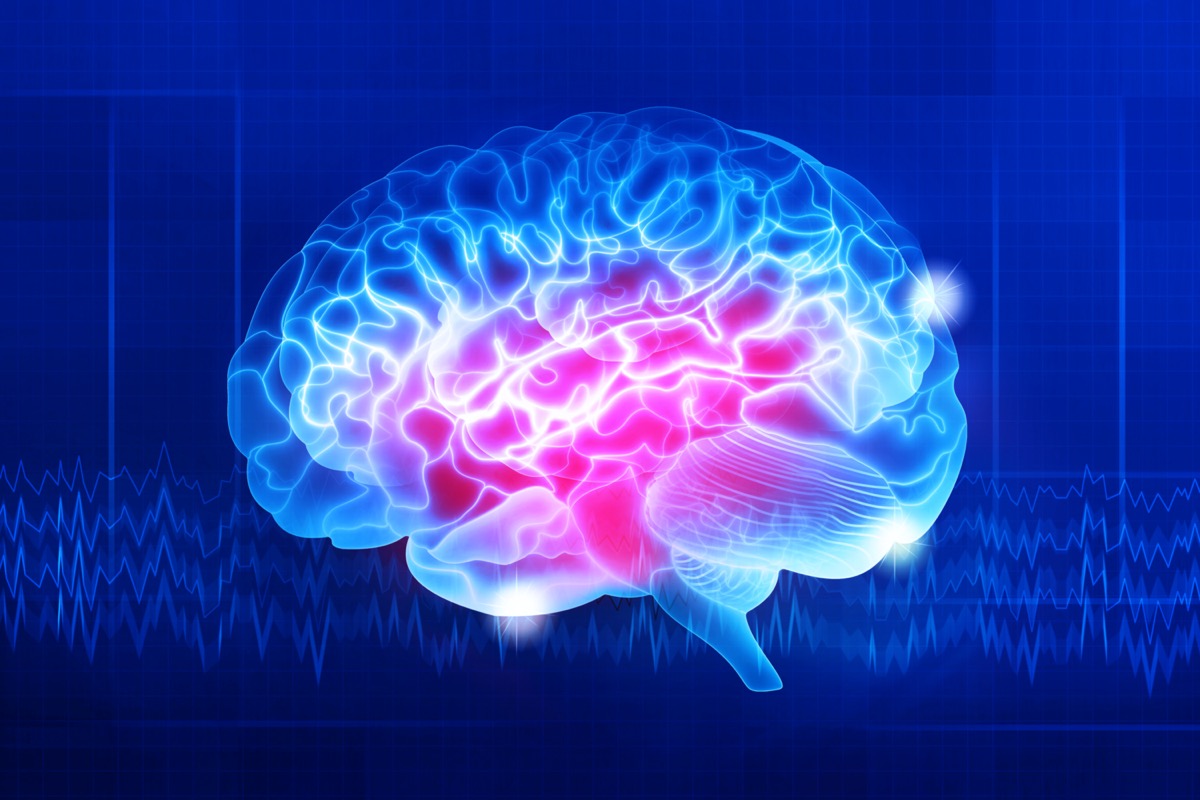 Human brain on a dark blue background