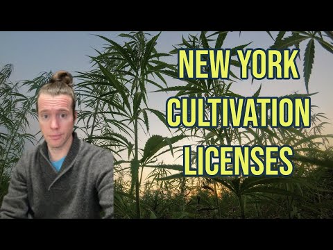 New York Releases First Adult Use Cannabis Cultivation Licenses | Provisional Cultivation Licenses